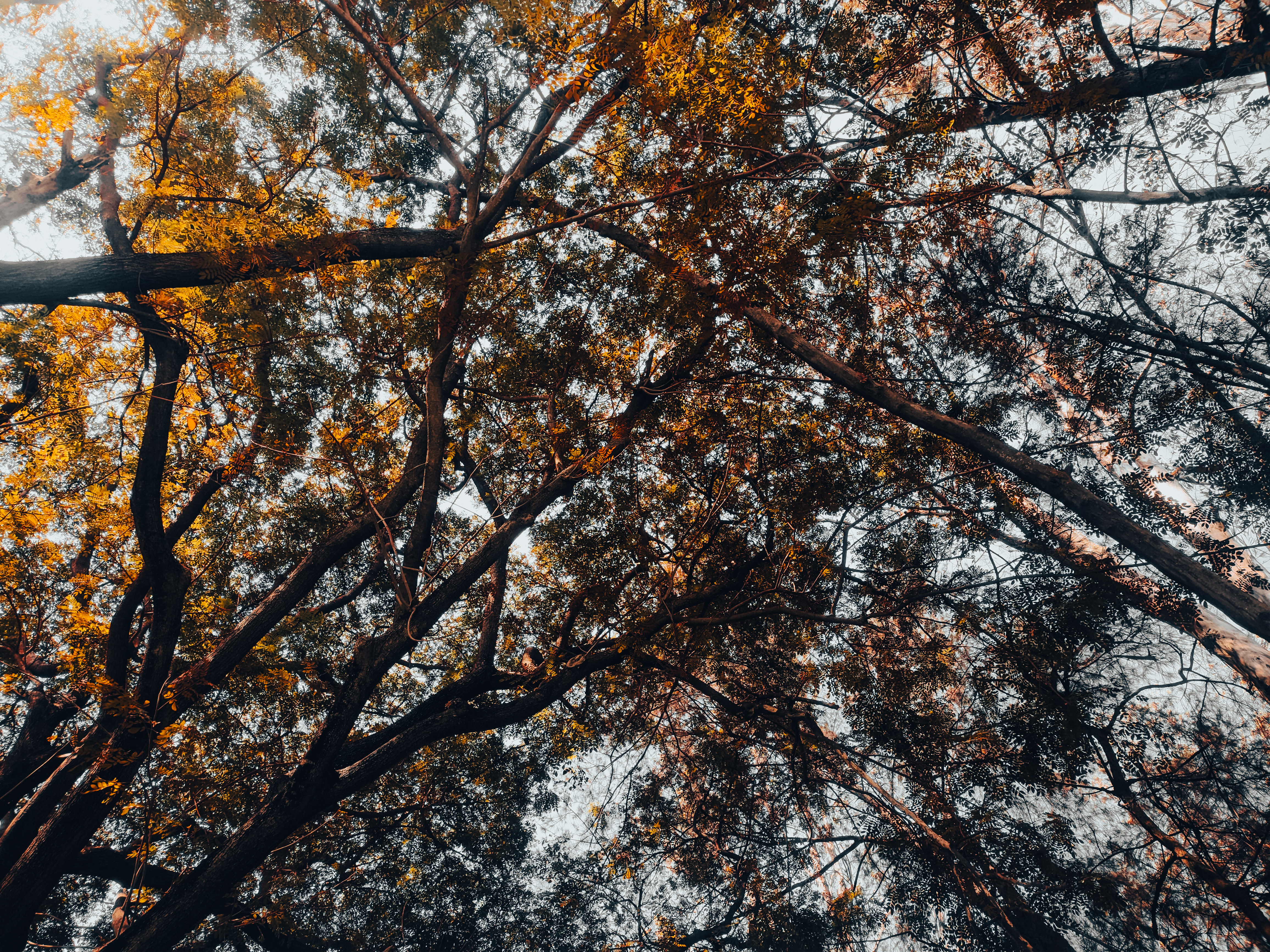 Nature 10