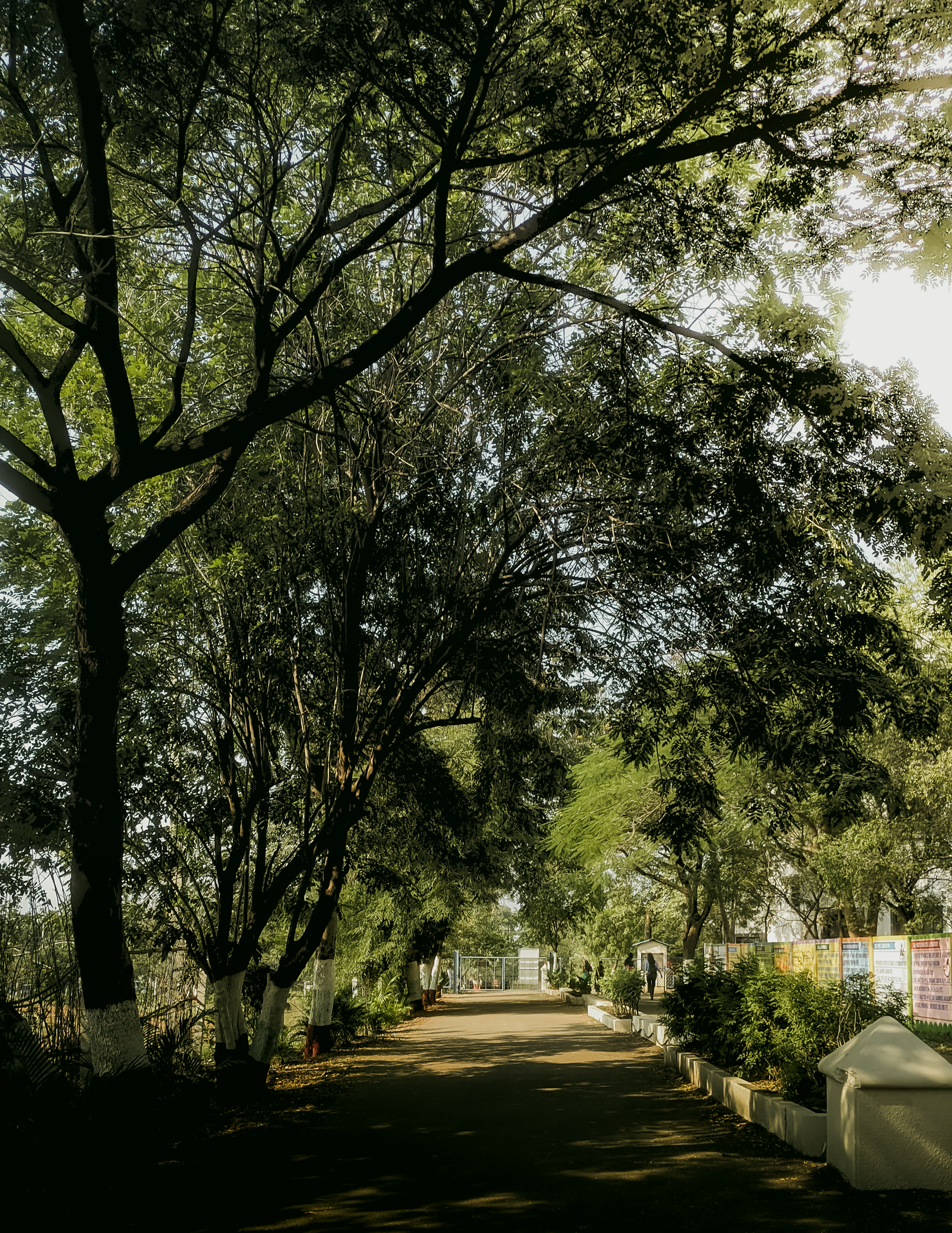 Nature 14