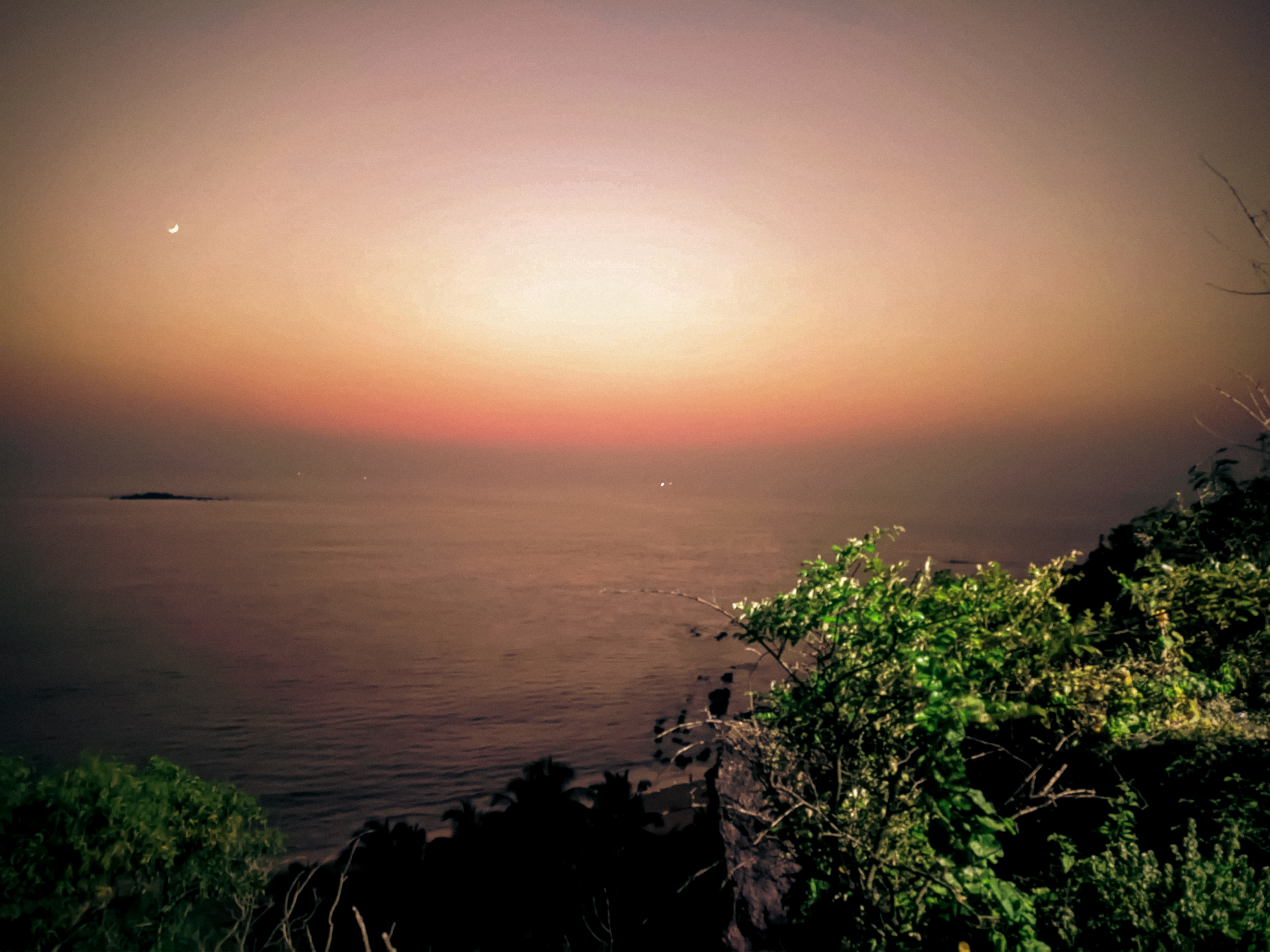 Nature 8